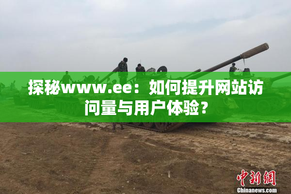 探秘www.ee：如何提升网站访问量与用户体验？