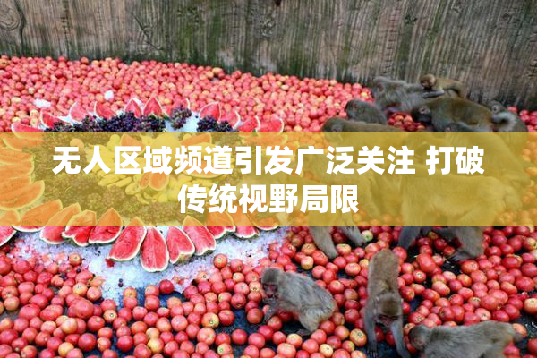无人区域频道引发广泛关注 打破传统视野局限
