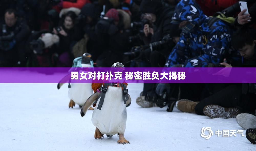 男女对打扑克 秘密胜负大揭秘