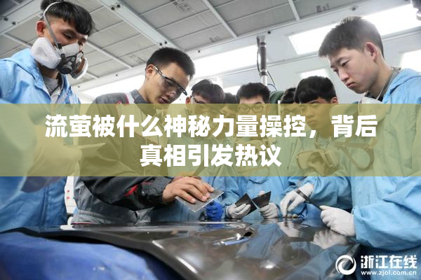 流萤被什么神秘力量操控，背后真相引发热议