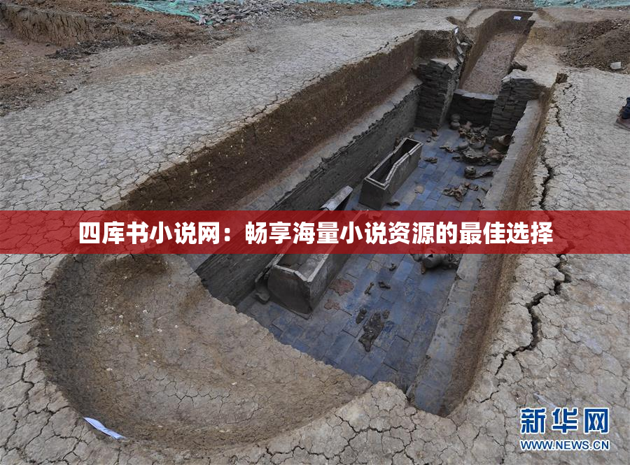 四库书小说网：畅享海量小说资源的最佳选择