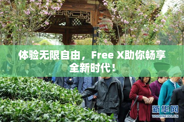 体验无限自由，Free X助你畅享全新时代！