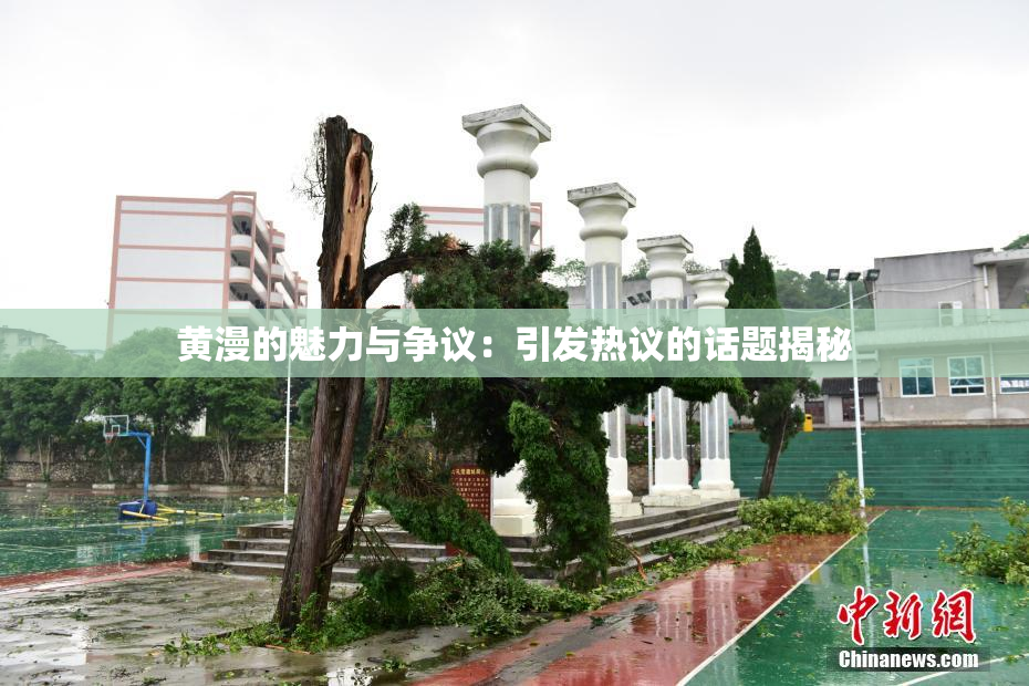 黄漫的魅力与争议：引发热议的话题揭秘