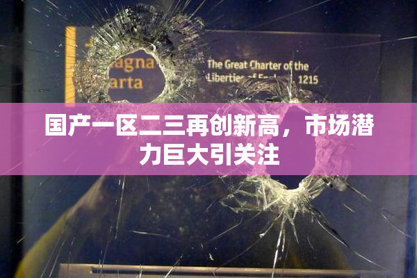 国产一区二三再创新高，市场潜力巨大引关注
