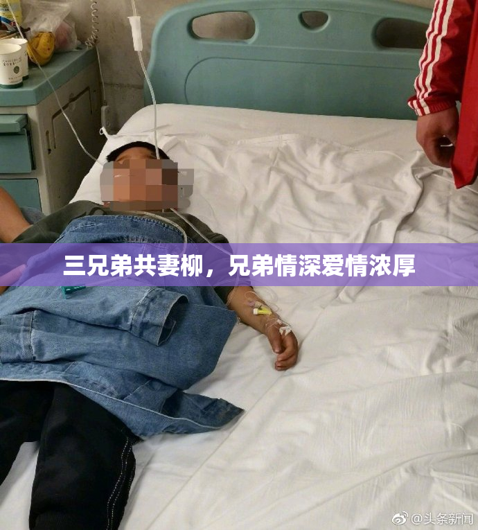 三兄弟共妻柳，兄弟情深爱情浓厚