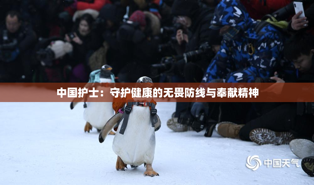 中国护士：守护健康的无畏防线与奉献精神