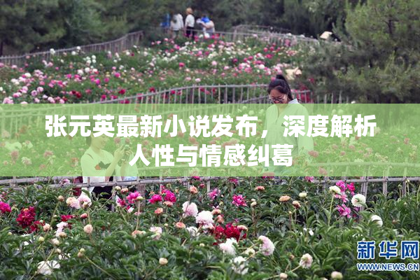 张元英最新小说发布，深度解析人性与情感纠葛