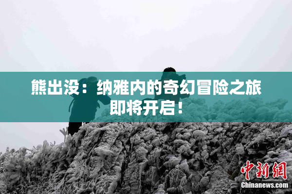 熊出没：纳雅内的奇幻冒险之旅即将开启！