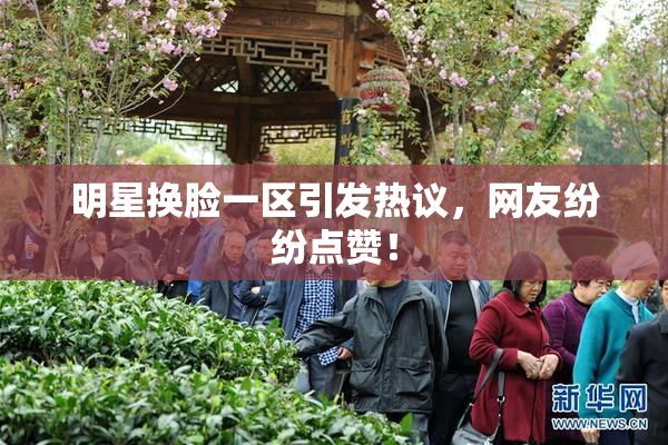明星换脸一区引发热议，网友纷纷点赞！