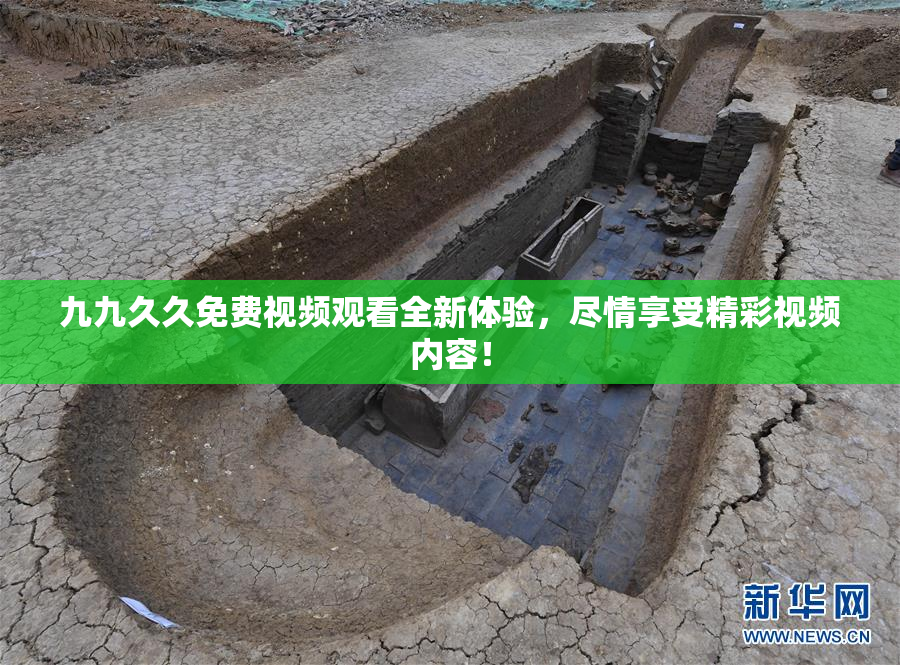 九九久久免费视频观看全新体验，尽情享受精彩视频内容！