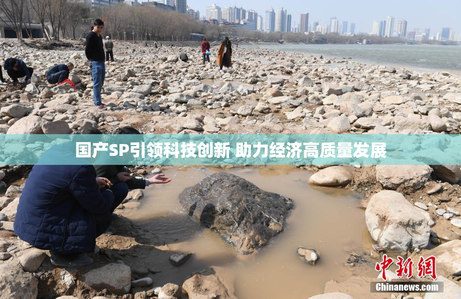 国产SP引领科技创新 助力经济高质量发展