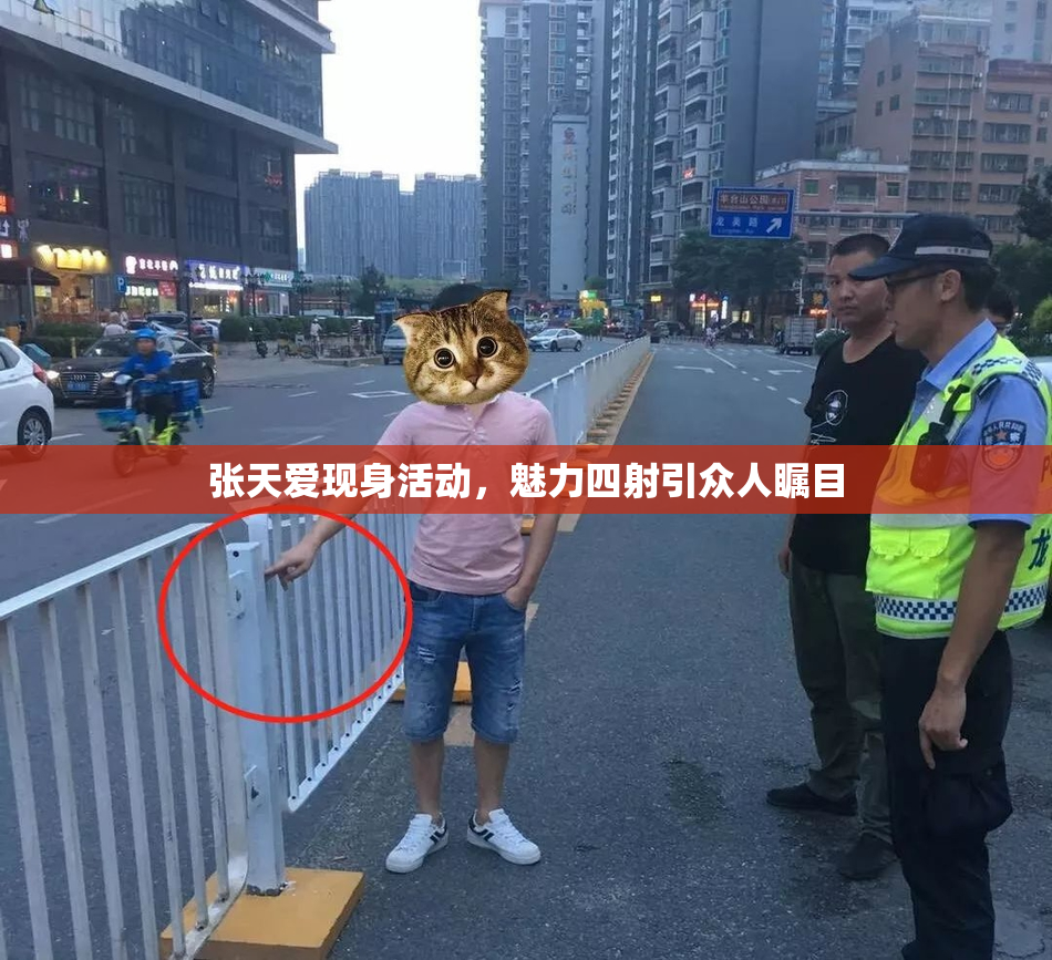 张天爱现身活动，魅力四射引众人瞩目
