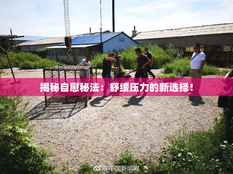 揭秘自慰秘法：舒缓压力的新选择！
