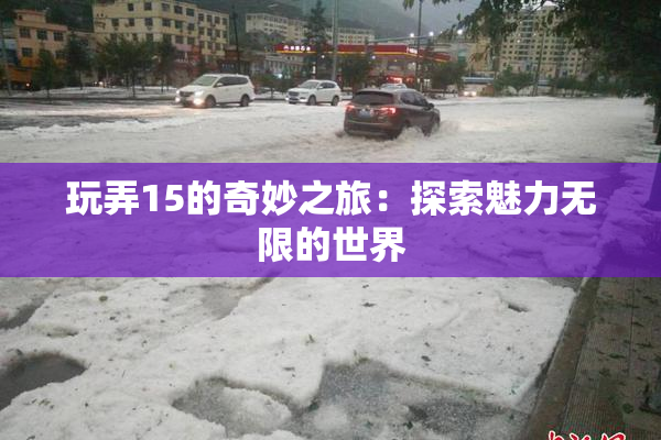 玩弄15的奇妙之旅：探索魅力无限的世界