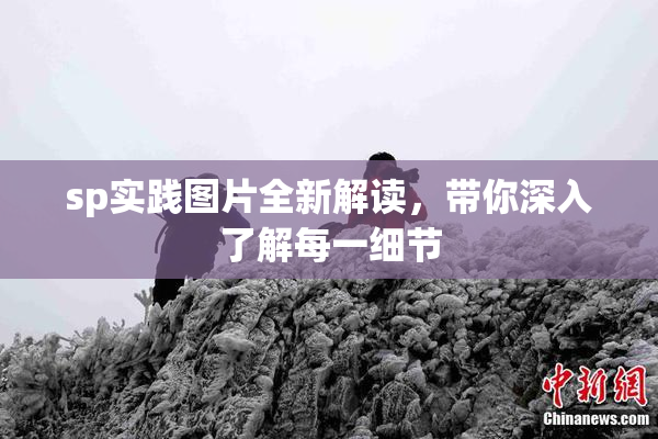 sp实践图片全新解读，带你深入了解每一细节