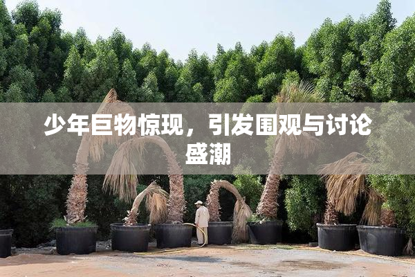 少年巨物惊现，引发围观与讨论盛潮