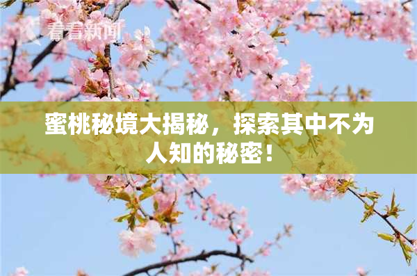 蜜桃秘境大揭秘，探索其中不为人知的秘密！