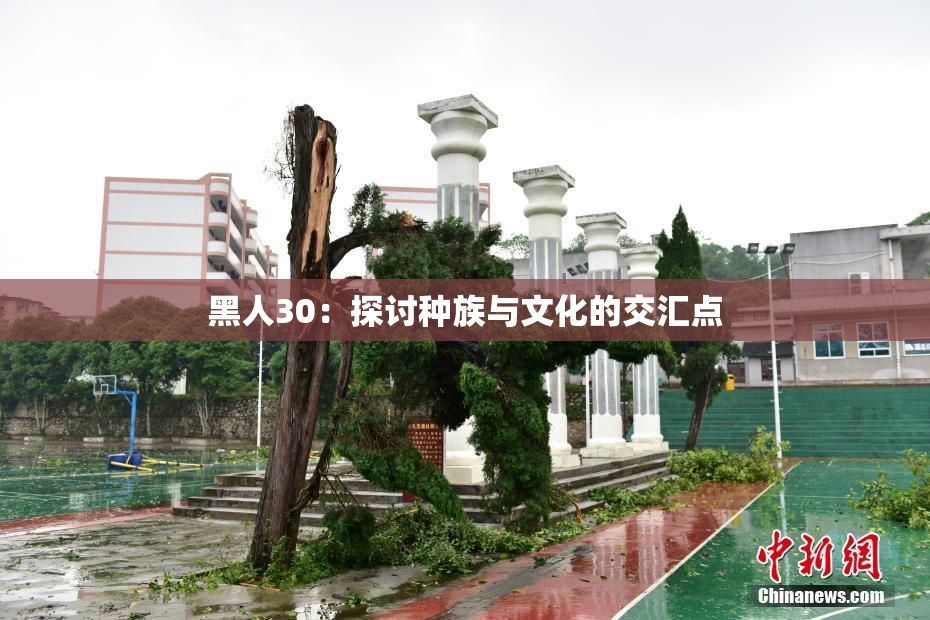 黑人30：探讨种族与文化的交汇点