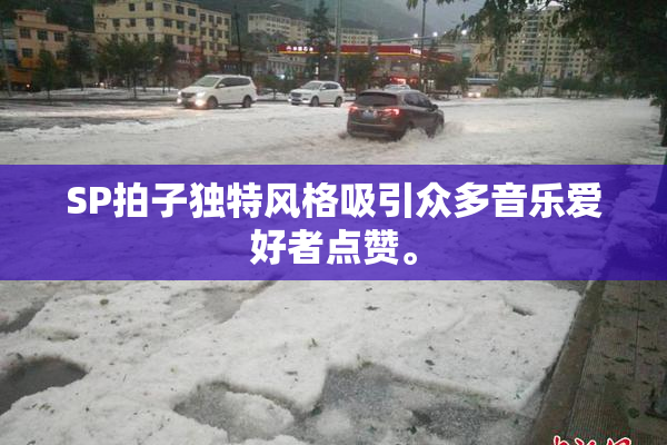 SP拍子独特风格吸引众多音乐爱好者点赞。