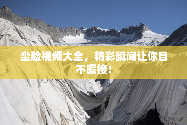 坐脸视频大全，精彩瞬间让你目不暇接！