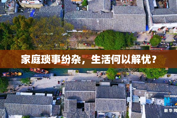 家庭琐事纷杂，生活何以解忧？