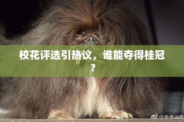 校花评选引热议，谁能夺得桂冠？