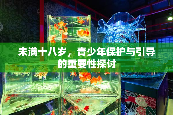 未满十八岁，青少年保护与引导的重要性探讨