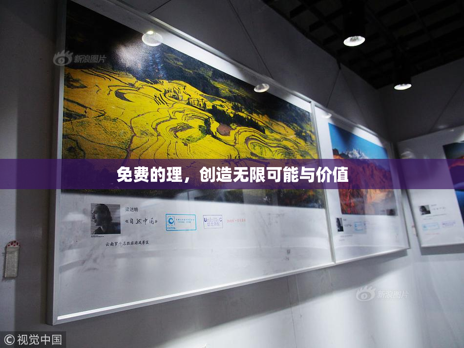 免费的理，创造无限可能与价值