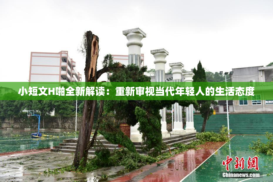 小短文H啪全新解读：重新审视当代年轻人的生活态度