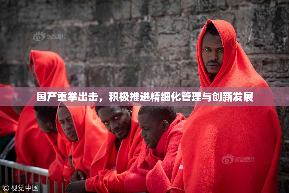 国产重拳出击，积极推进精细化管理与创新发展