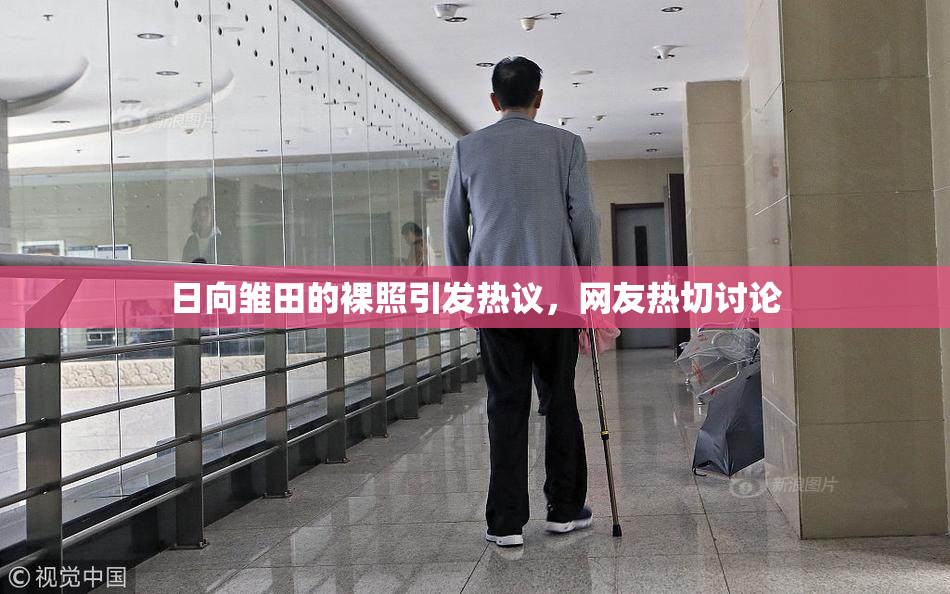 日向雏田的裸照引发热议，网友热切讨论