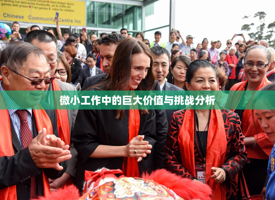 微小工作中的巨大价值与挑战分析