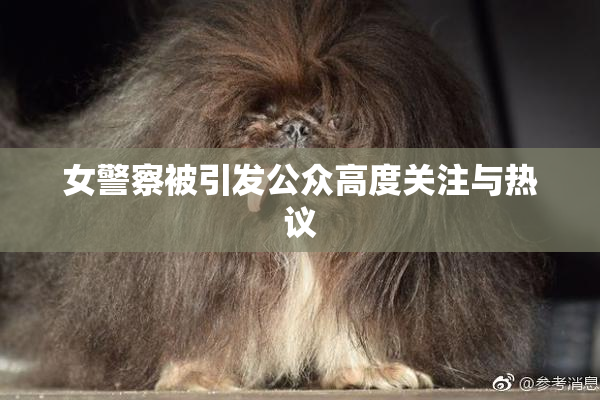 女警察被引发公众高度关注与热议