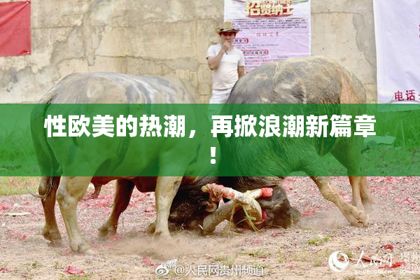 性欧美的热潮，再掀浪潮新篇章！