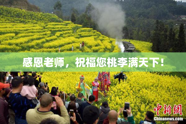 感恩老师，祝福您桃李满天下！