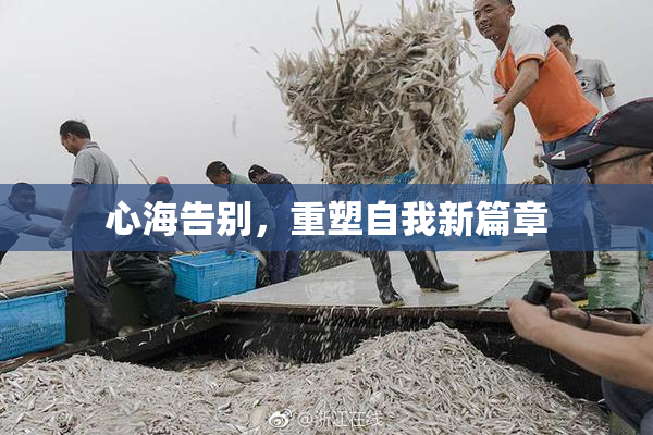 心海告别，重塑自我新篇章