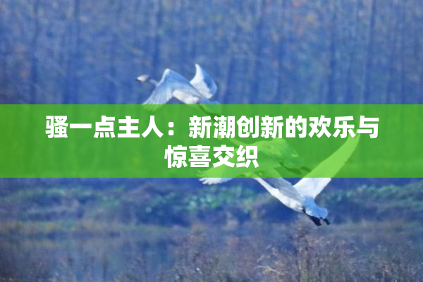 骚一点主人：新潮创新的欢乐与惊喜交织