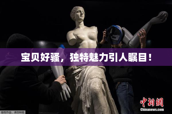 宝贝好骚，独特魅力引人瞩目！