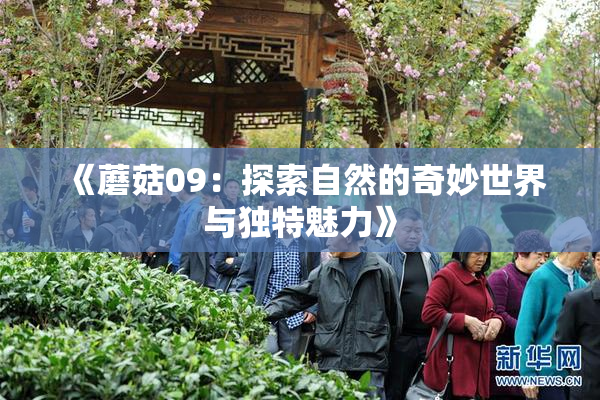 《蘑菇09：探索自然的奇妙世界与独特魅力》