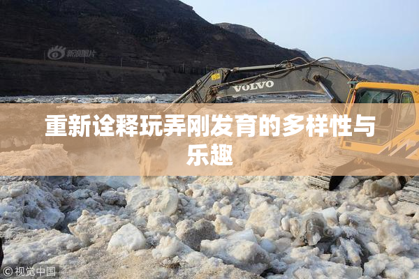 重新诠释玩弄刚发育的多样性与乐趣