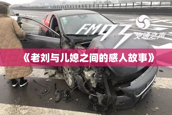 《老刘与儿媳之间的感人故事》