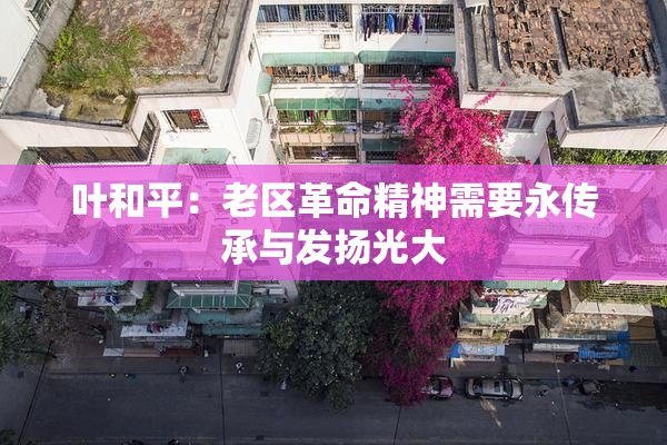 叶和平：老区革命精神需要永传承与发扬光大