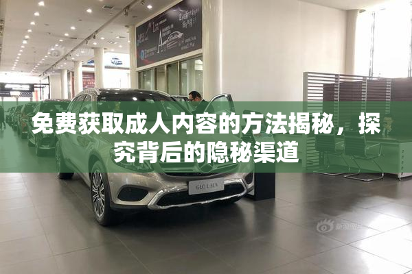 免费获取成人内容的方法揭秘，探究背后的隐秘渠道