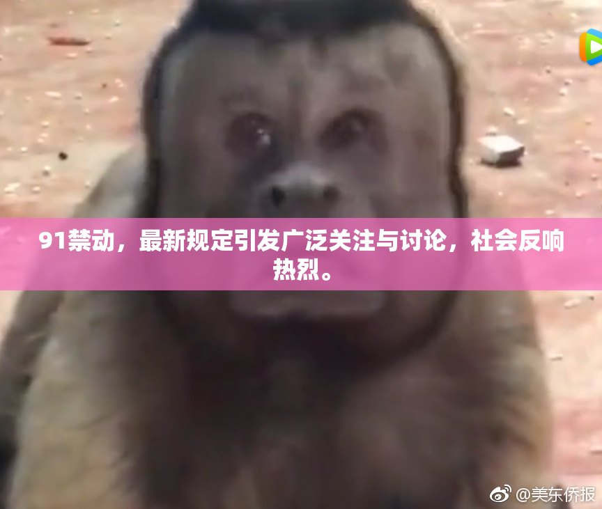 91禁动，最新规定引发广泛关注与讨论，社会反响热烈。