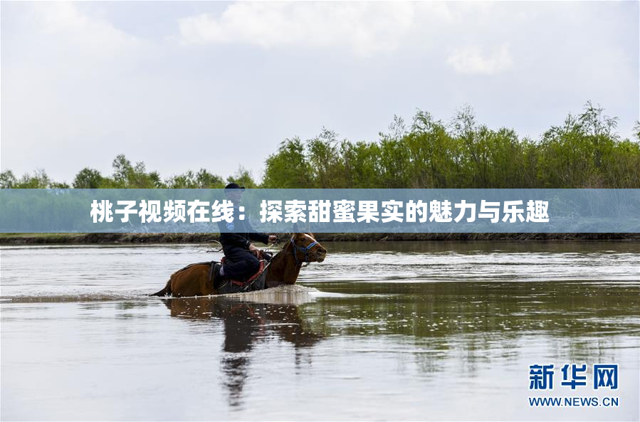 桃子视频在线：探索甜蜜果实的魅力与乐趣