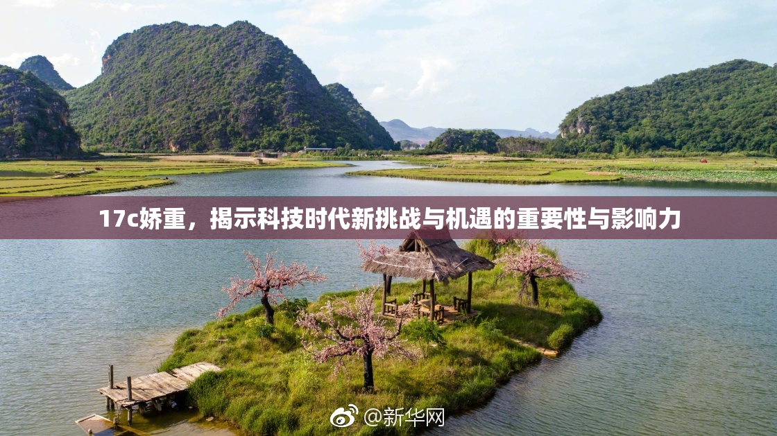 17c娇重，揭示科技时代新挑战与机遇的重要性与影响力