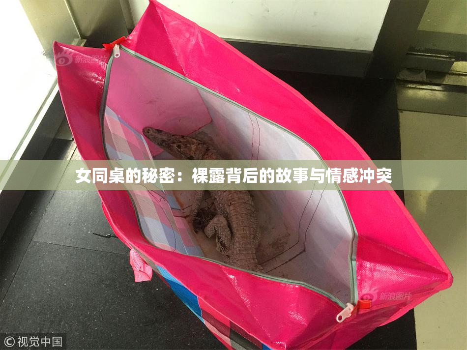女同桌的秘密：裸露背后的故事与情感冲突