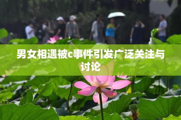 男女相遇被c事件引发广泛关注与讨论