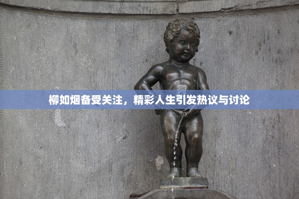 柳如烟备受关注，精彩人生引发热议与讨论