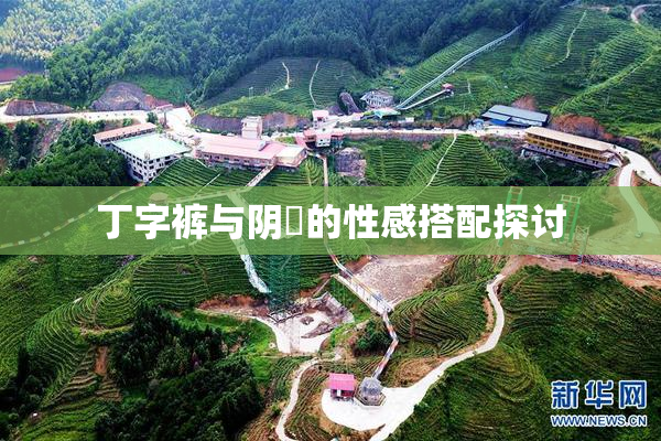 丁字裤与阴脣的性感搭配探讨